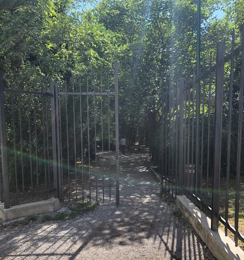 פודגוריצה Cicki Apartments II מראה חיצוני תמונה